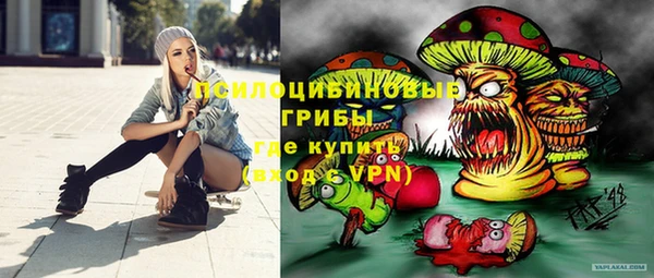 кокс Алексин