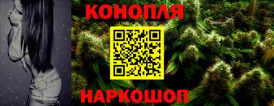 spice Дубна