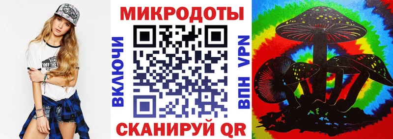 Псилоцибиновые грибы Cubensis  закладка  Кулебаки 