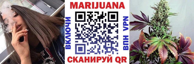 магазин продажи наркотиков  Кулебаки  Шишки марихуана SATIVA & INDICA 